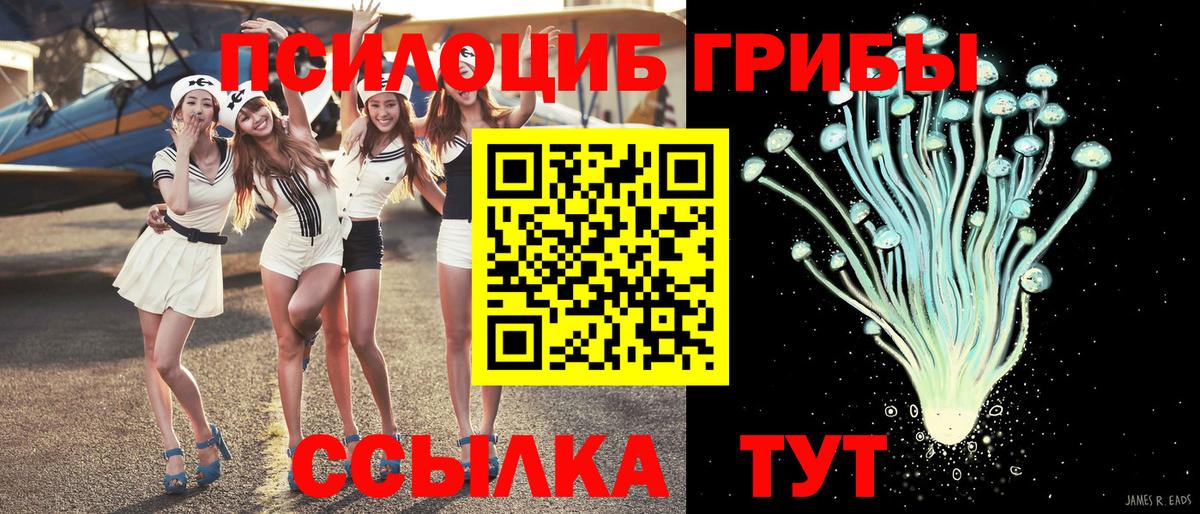 Псилоцибиновые грибы MAGIC MUSHROOMS  Вход с VPN  Галлюциногенные грибы Psilocybe  Невинномысск 