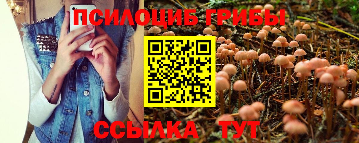 Галлюциногенные грибы прущие грибы Невинномысск